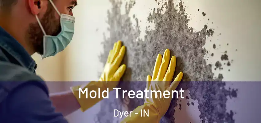  Mold Treatment Dyer - IN