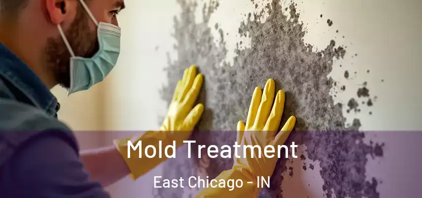  Mold Treatment East Chicago - IN