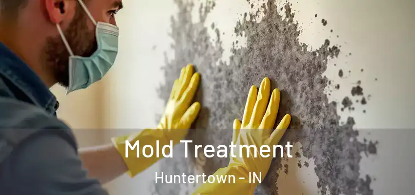  Mold Treatment Huntertown - IN