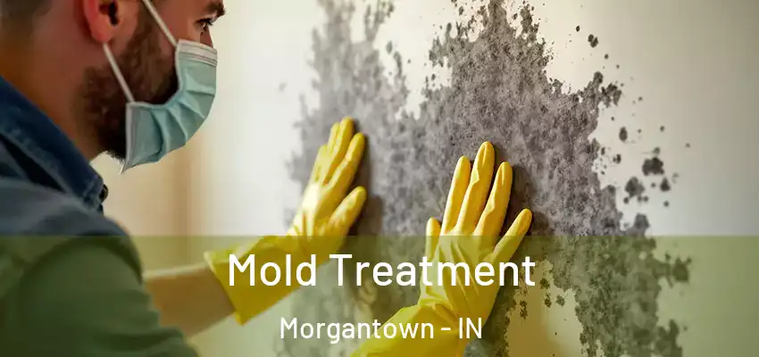  Mold Treatment Morgantown - IN