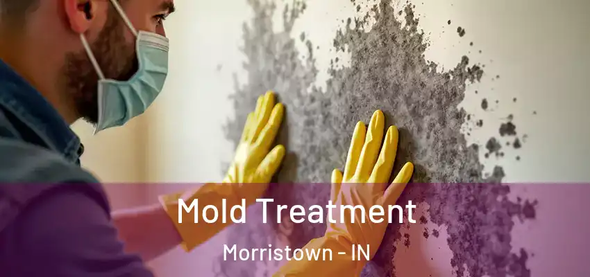  Mold Treatment Morristown - IN
