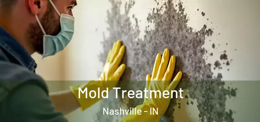  Mold Treatment Nashville - IN