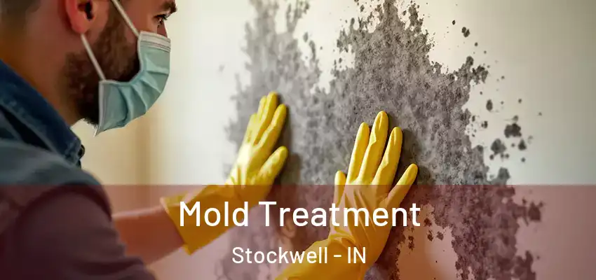 Mold Treatment Stockwell - IN