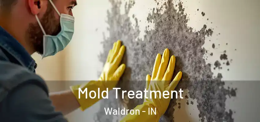 Mold Treatment Waldron - IN