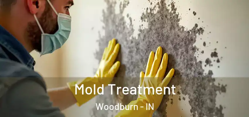  Mold Treatment Woodburn - IN