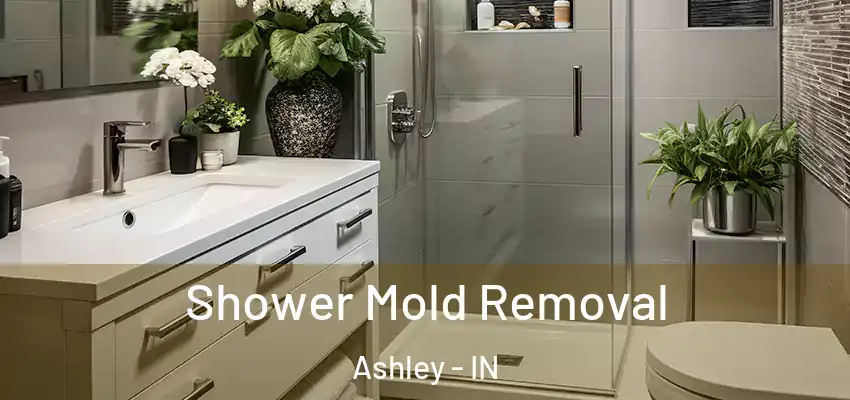 Shower Mold Removal Ashley - IN