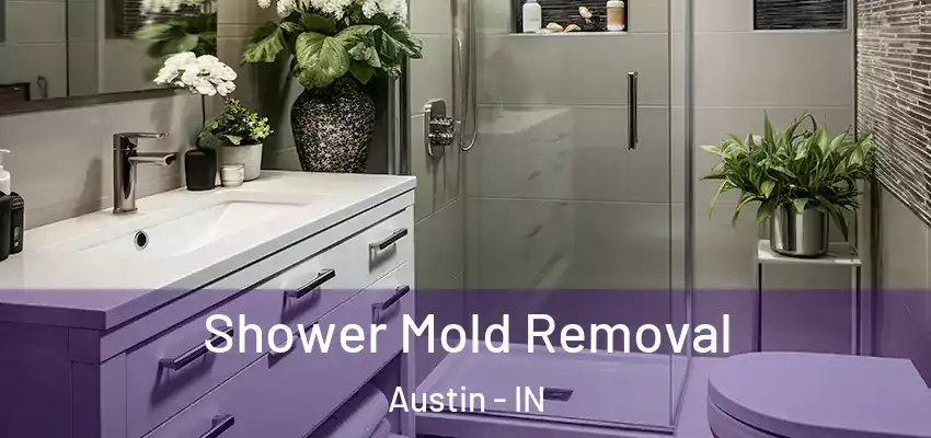 Shower Mold Removal Austin - IN