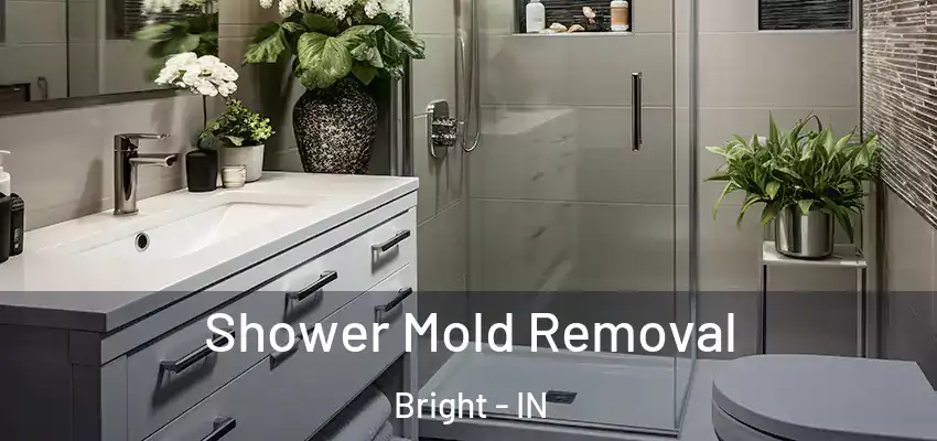  Shower Mold Removal Bright - IN