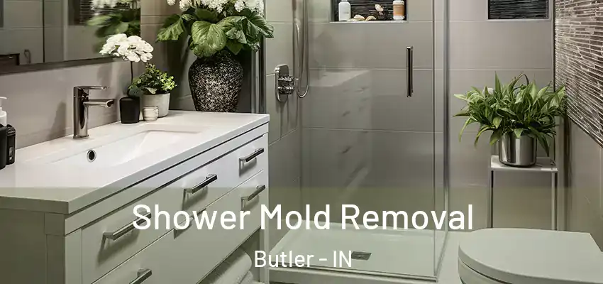  Shower Mold Removal Butler - IN