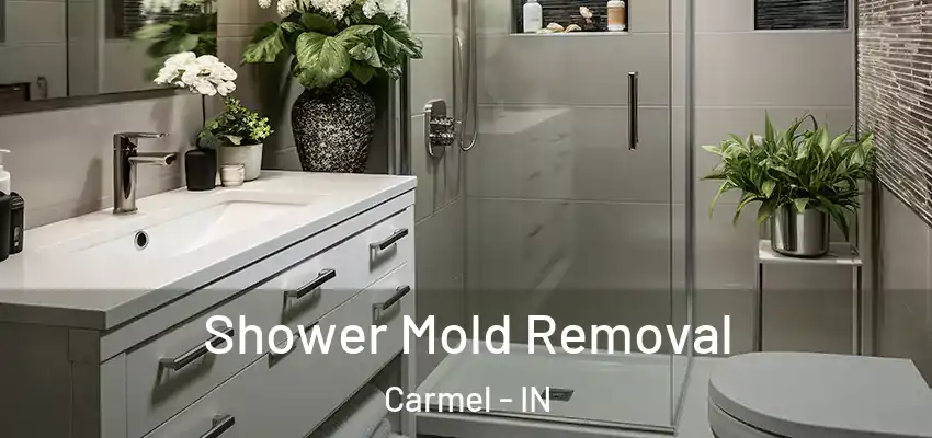  Shower Mold Removal Carmel - IN