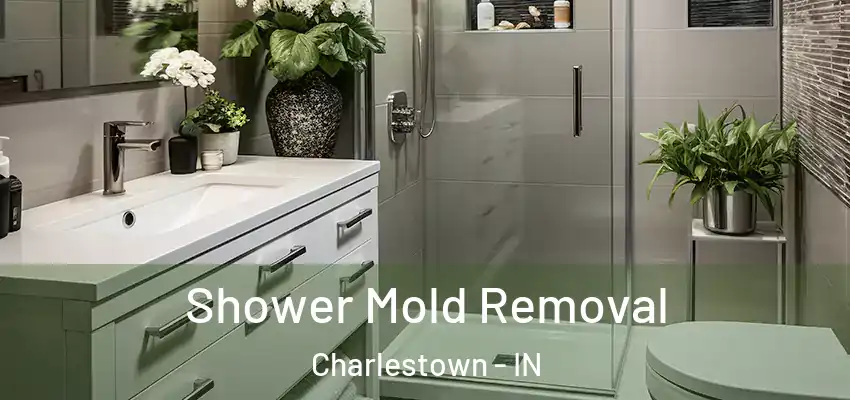 Shower Mold Removal Charlestown - IN