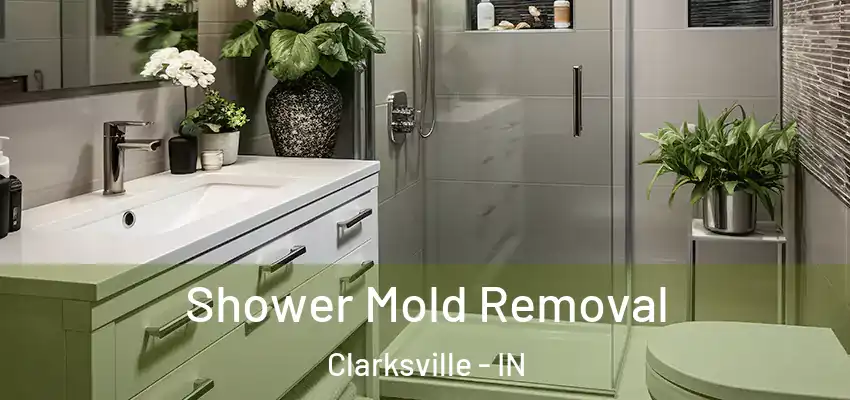  Shower Mold Removal Clarksville - IN