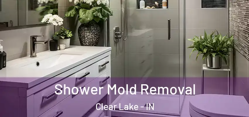  Shower Mold Removal Clear Lake - IN