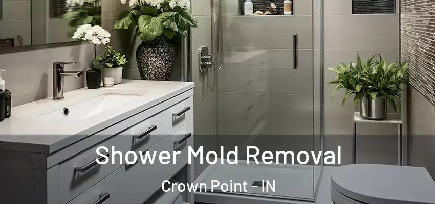 Shower Mold Removal Crown Point - IN