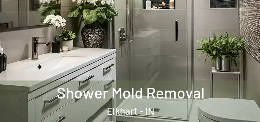  Shower Mold Removal Elkhart - IN