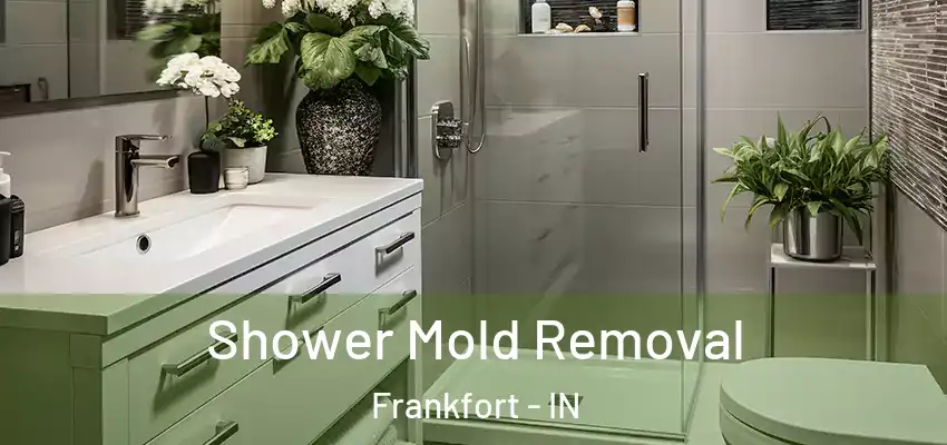  Shower Mold Removal Frankfort - IN