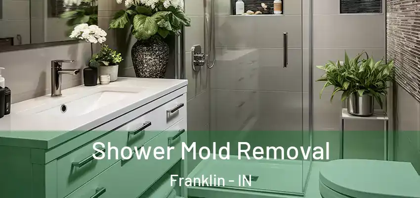  Shower Mold Removal Franklin - IN
