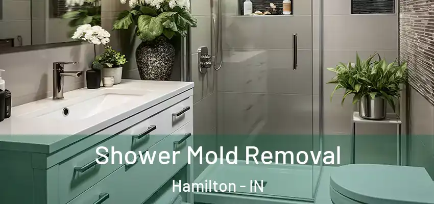  Shower Mold Removal Hamilton - IN