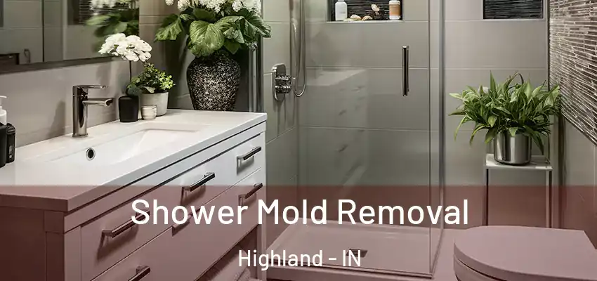  Shower Mold Removal Highland - IN