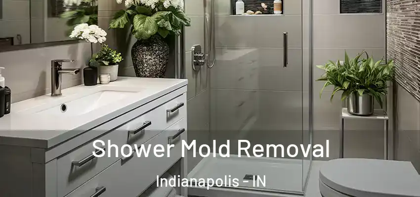  Shower Mold Removal Indianapolis - IN
