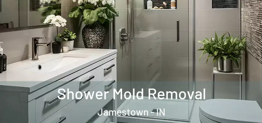 Shower Mold Removal Jamestown - IN