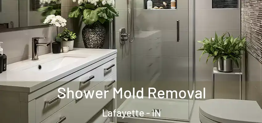 Shower Mold Removal Lafayette - IN