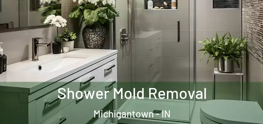  Shower Mold Removal Michigantown - IN