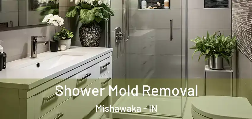  Shower Mold Removal Mishawaka - IN