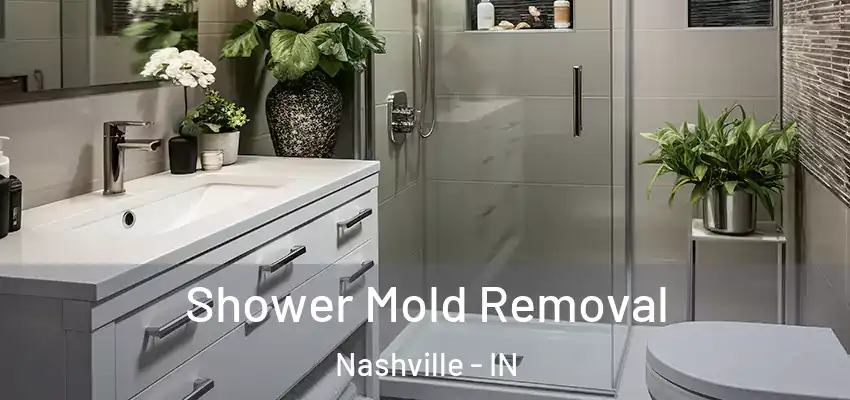  Shower Mold Removal Nashville - IN