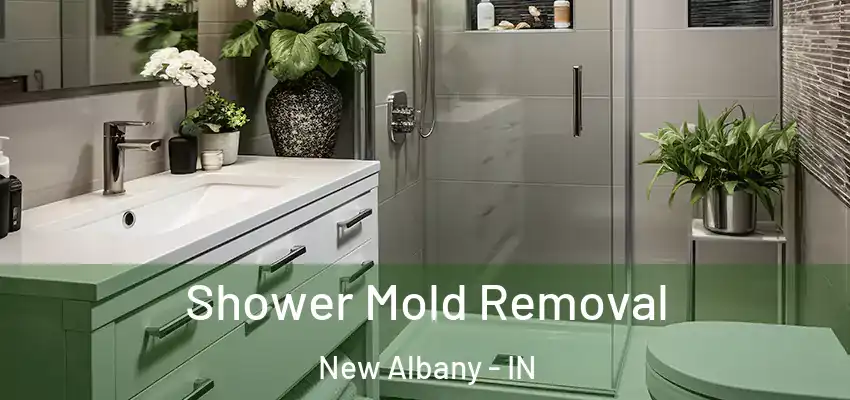 Shower Mold Removal New Albany - IN