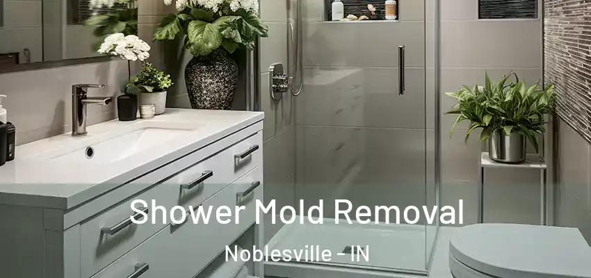 Shower Mold Removal Noblesville - IN