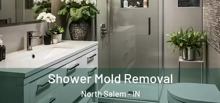 Shower Mold Removal North Salem - IN