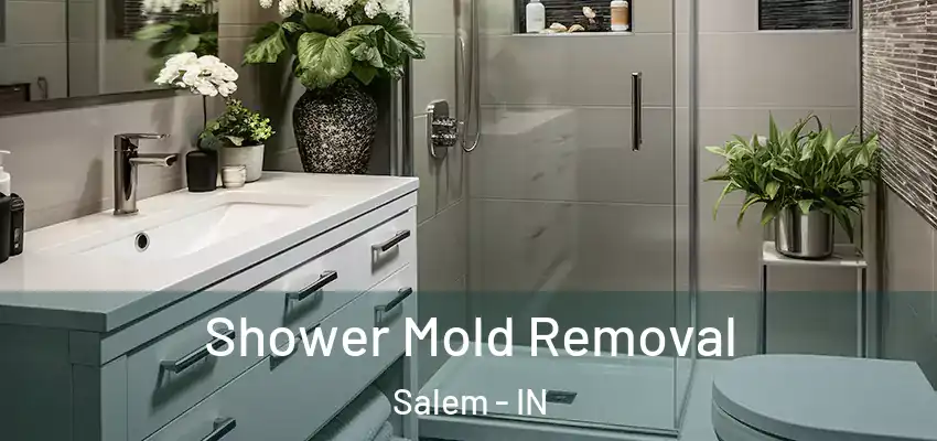  Shower Mold Removal Salem - IN
