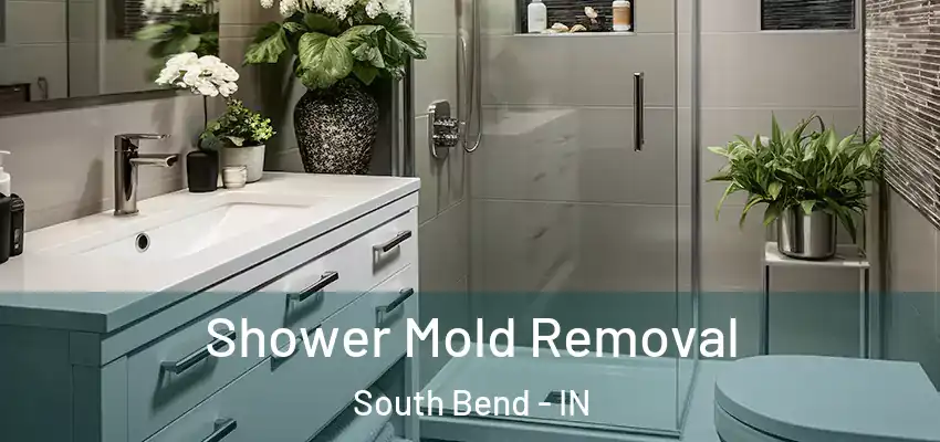  Shower Mold Removal South Bend - IN