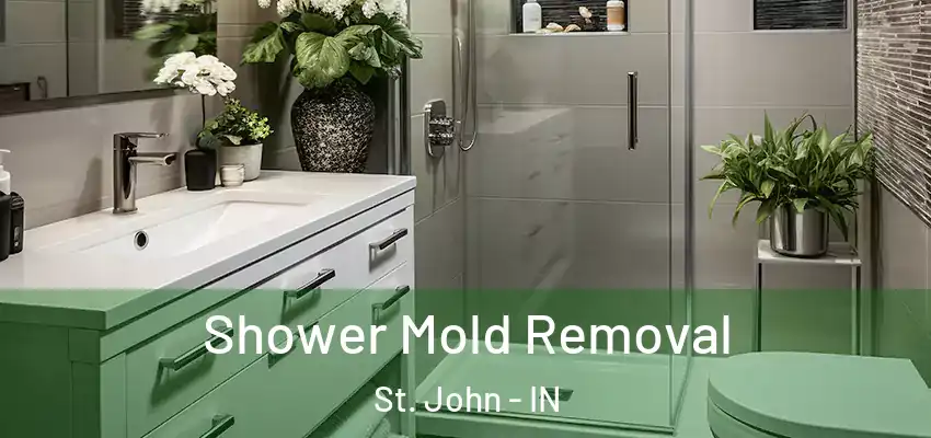  Shower Mold Removal St. John - IN