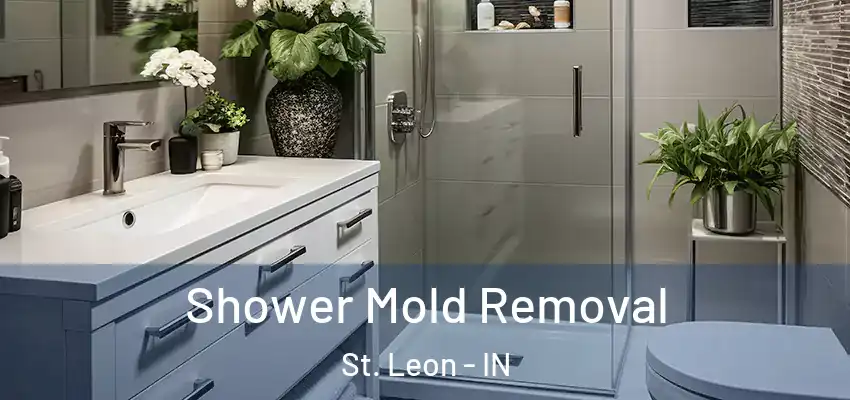  Shower Mold Removal St. Leon - IN