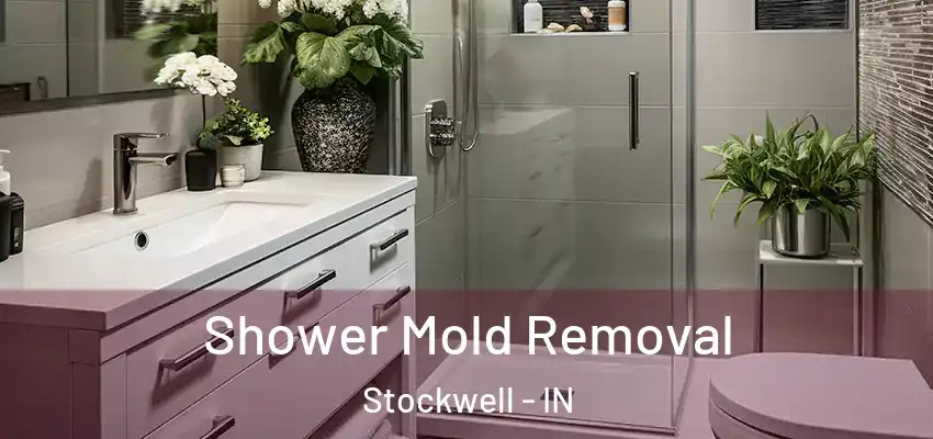 Shower Mold Removal Stockwell - IN
