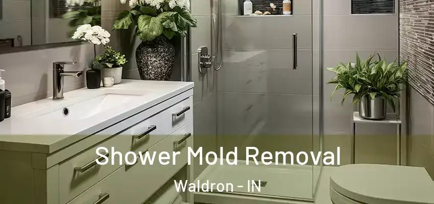  Shower Mold Removal Waldron - IN