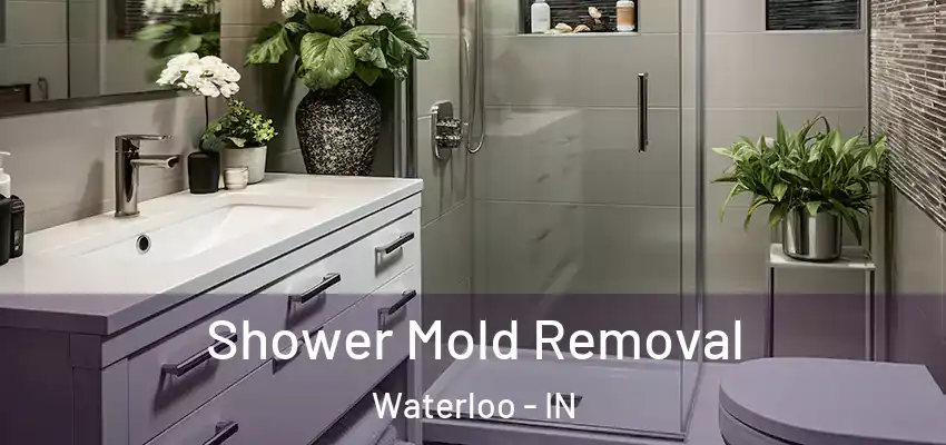  Shower Mold Removal Waterloo - IN